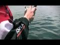 Fin-Nor Kuala Rompin Sailfish Malaysia