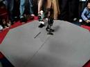 RoboGames match #2: Zog vs. 1-Eye