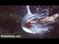 Slow motion - 2 ( A??r �ekim) ?zmir - Bay?nd?r mistik106
