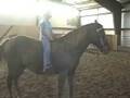 videos de Tuffy & Dana