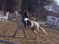 aur�lie et noum�a coupier