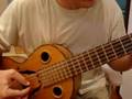 Viola encordoada com Nylon João Brazilio