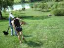 larp-4-life-pt-2.html