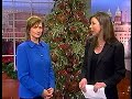 Man selling Chirstmas tree to fund cancer treatment Man selling Chirstmas tree to fund cancer treatment