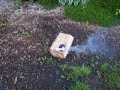 S. Chlorate/Benzoate test 1