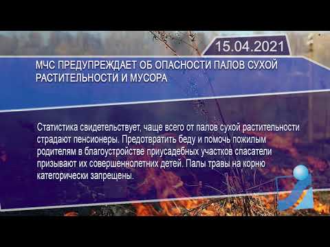 Новостная лента Телеканала Интекс 15.04.21.