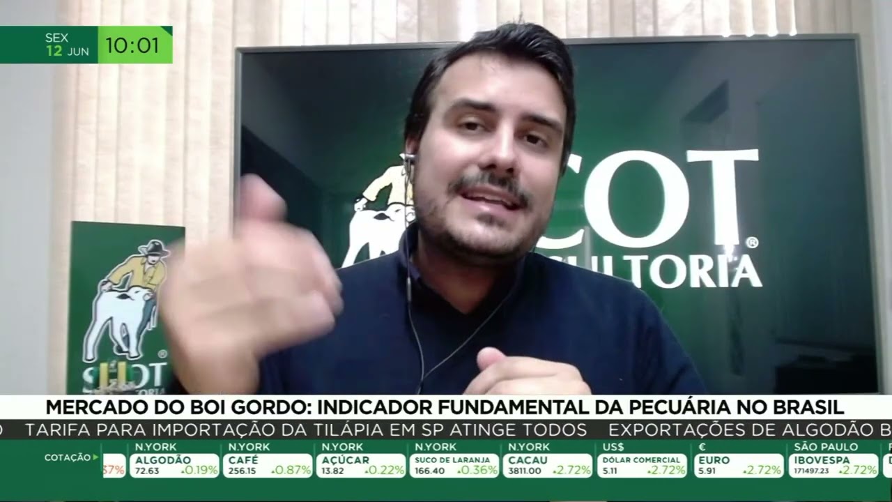 Mercado do boi gordo: preços, tendências e perspectivas para a pecuária
