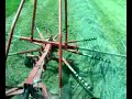 Steyr 4075 con Ranghinatore Steyr 4075 con Ranghinatore