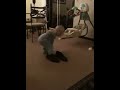Will walking in dads shoes