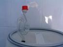 Beer Brewing ...