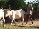 abdoul berger peul.html