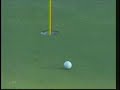 TIger Woods