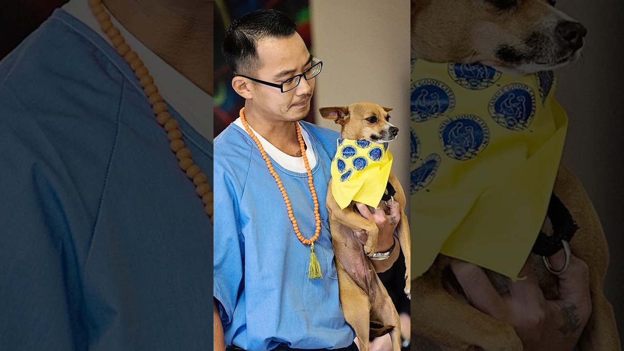 How Prisoners and Dogs Assist Each Other in Reintegrating into Society