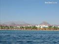 You Gotta Live Egypt 2 Luv Egypt