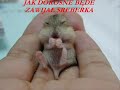 Zabawne fotki