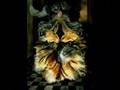 Remedios Varo