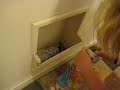 Emily vs. Nasty Roach