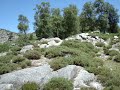 De Felgueiras ao Parque da Serra do Alvão V