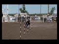 pole-bending-five-excellent-high-school-competitors-ks.html