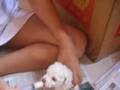 Caniche video