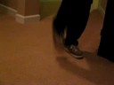 My self tying shoelaces
