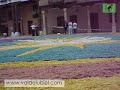 ALFOMBRAS EN EL CORPUS CRHISTI