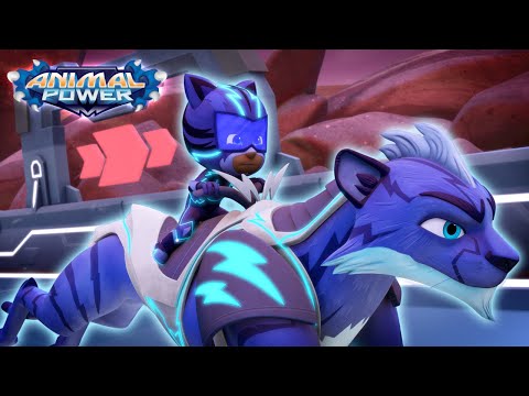 Crash Track Trick | Animal Power | Season 5 New Full Episode | PJ Masks Official