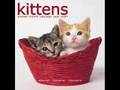 videos de Cats-Re-sublimity