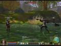 Aion - Special Mace/Flail hybrid weapon #1