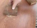 Subterranean Termites or Drywood ...