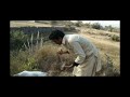 Amazing Partridge Hunting with Net and Pointer Pakistan Amazing Partridge Hunting with Net and Pointer Pakistan