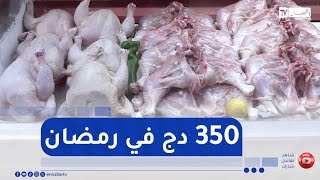 تموين ثابت بالأعلاف والصيصان..أسعار الدجاج لن تتجاوز 350 دج في رمضان