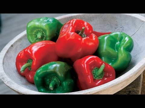 Planting and Growing Peppers