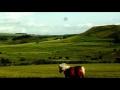 jolie chanson avec belles photos nature