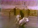 Rodeo