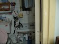 妹妹作反