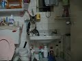 妹妹作反