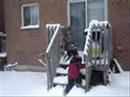1st day/snow of New Year