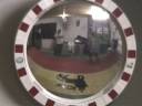 videos de JUST PLAY SKATE - FVG STREET SKATEBOARDING
