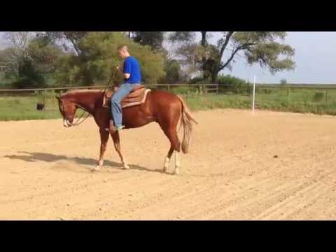 how to take your pulse