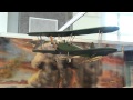 Посмотреть видео