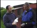 Mick Betts Racing Pigeons - UK Masters3