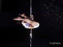 UltraViolet Sound-Hot Hot Riot-w Pole dancer