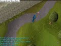 how to make alot of money on runescape!!!