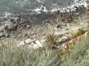 Esalen Institute Favorite Spots 1993 (2 of 13)