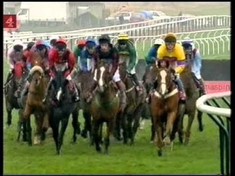 paddy power cheltenham