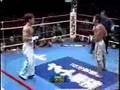 Mixed martial arts fighting
