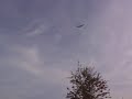 when red kites attack.