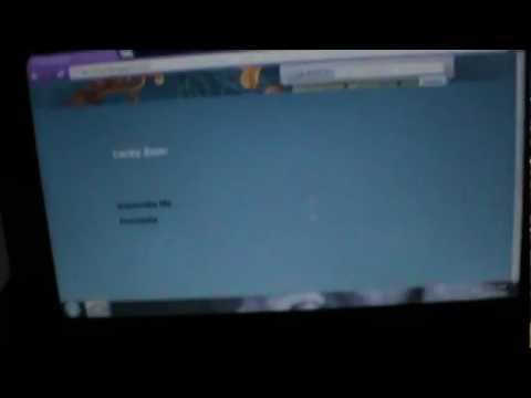 how to fit htc wildfire s'screen