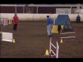 Zelda Mt Hood Dobe AKC Nov09.wmv